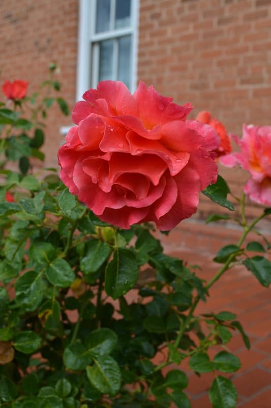 Heritage Inn Bed & Breakfast