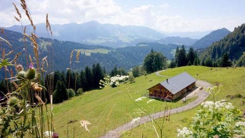 Haus Bausch