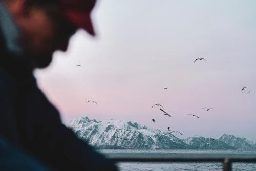 Holmen Lofoten