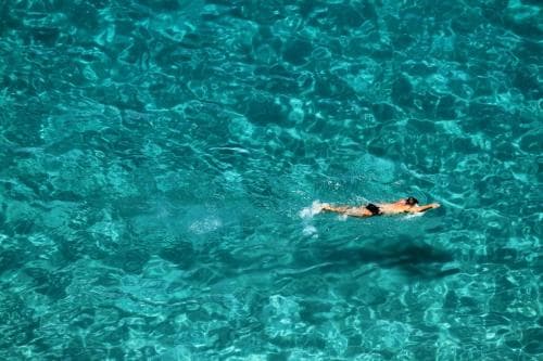 Hortis Tropea