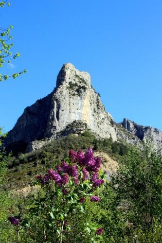 Camping des Princes d'Orange