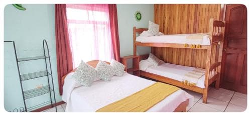Hostel Sloth Backpackers B&b