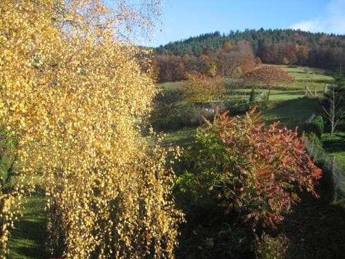 Ferienwohnung Panorama