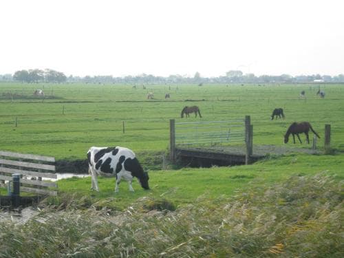 B&B Hutspot