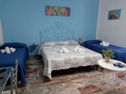 B&B Avinedda