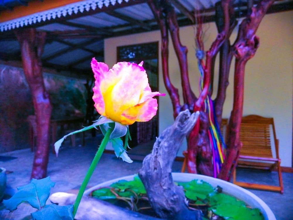 The Wisdom Home