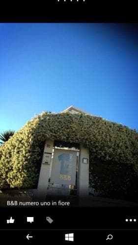 B&B Numero Uno