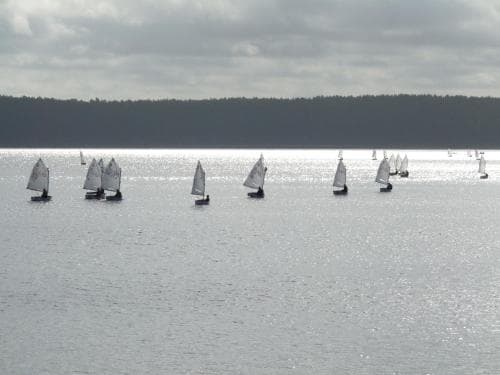 Baltosios Bures