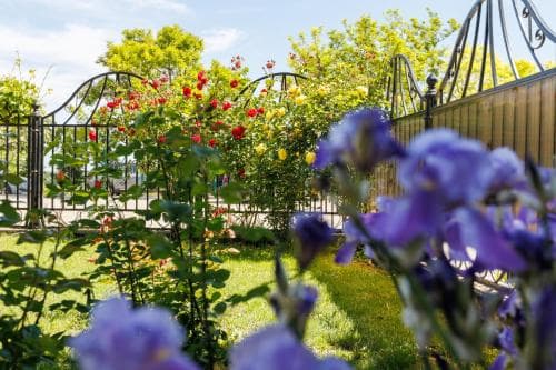 Vila Belvedere
