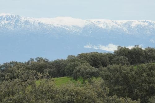 La Cerca Del Alcornoque