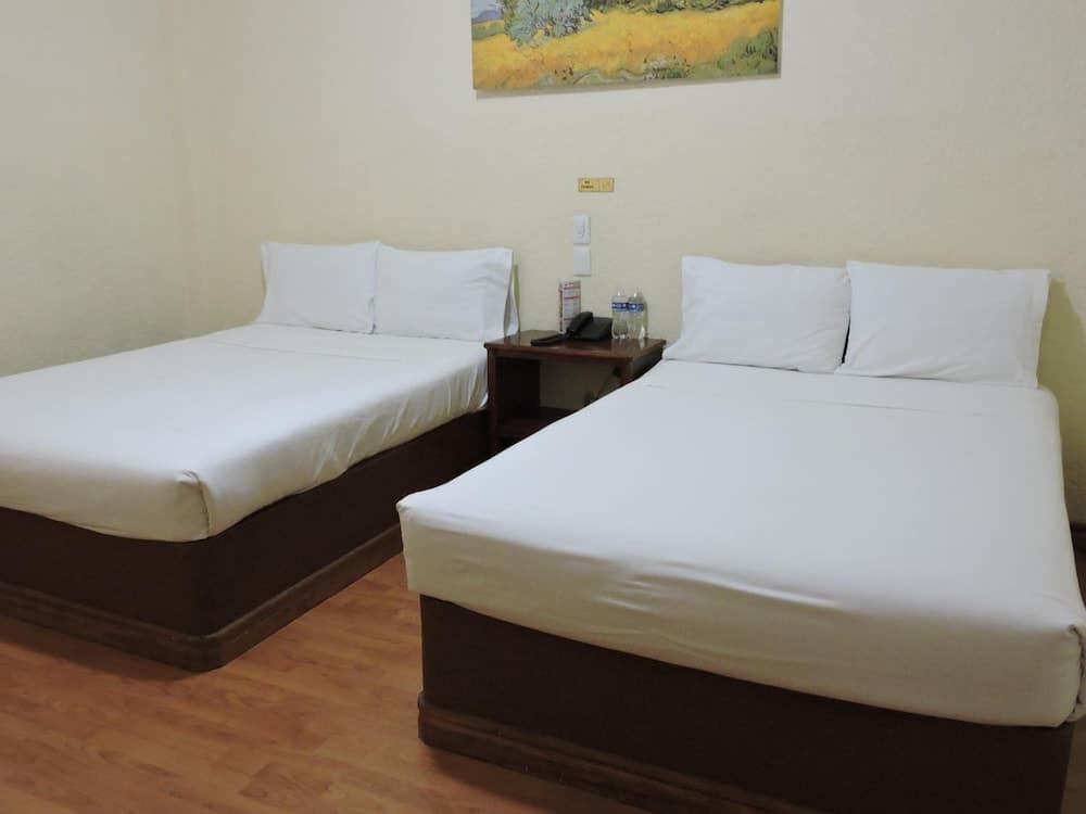 Hotel Capri de León México
