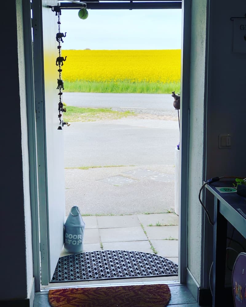 A serene doorway opens to a vibrant yellow canola field under a clear sky, featuring elephant wind chimes and a "DOOR STOP" cone, ideal for travelers seeking peaceful rural retreats.