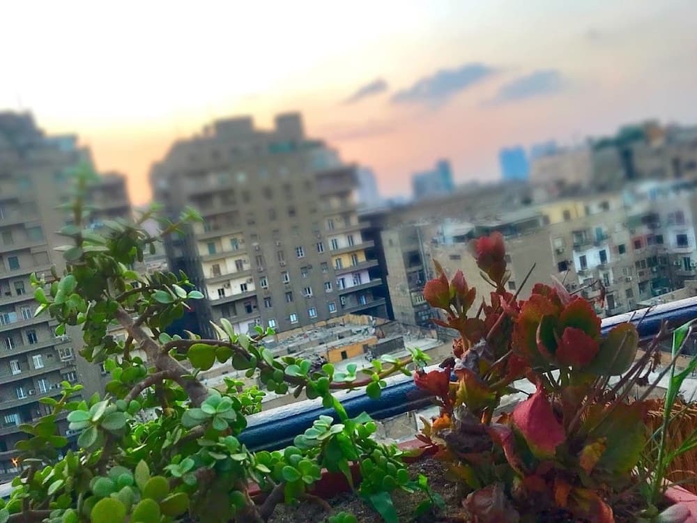 Eco Inn Cairo