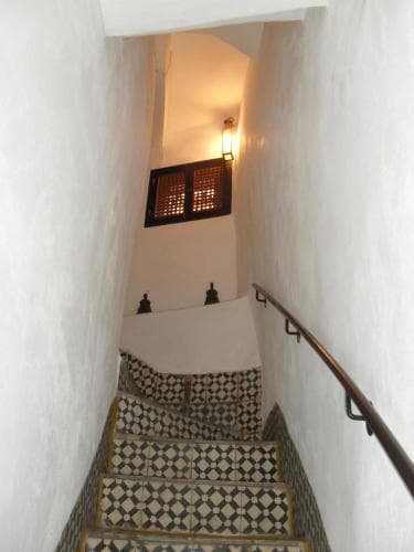 Riad Tiziri