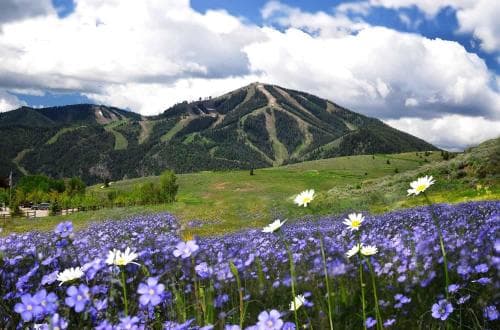 Dollar Meadows by ResortQuest