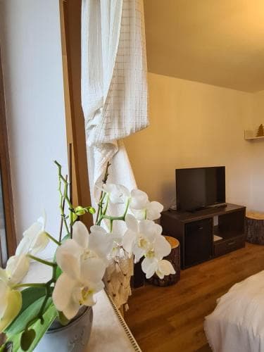 A cozy hotel room with warm lighting features a wooden floor, a flat-screen TV on a sleek stand, a vase of elegant white orchids, and soft curtains, ideal for travelers seeking comfort and relaxation.