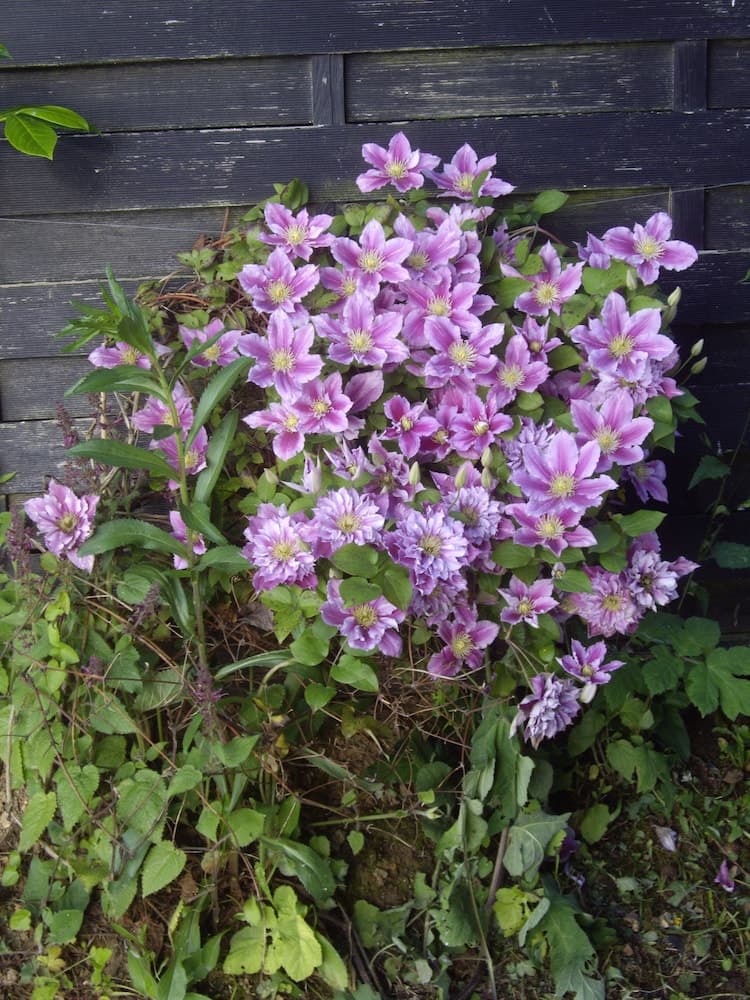 La Grange Des Marettes