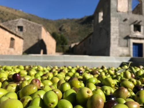 La Ferula B&B