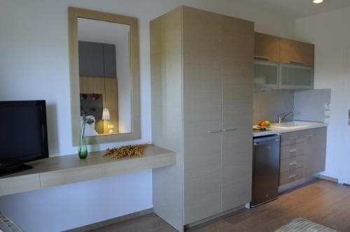 A modern apartment kitchenette features sleek wooden cabinetry, a compact stainless steel sink, and a minimalist dining area with a vase of flowers, ideal for travelers seeking cozy urban accommodations.