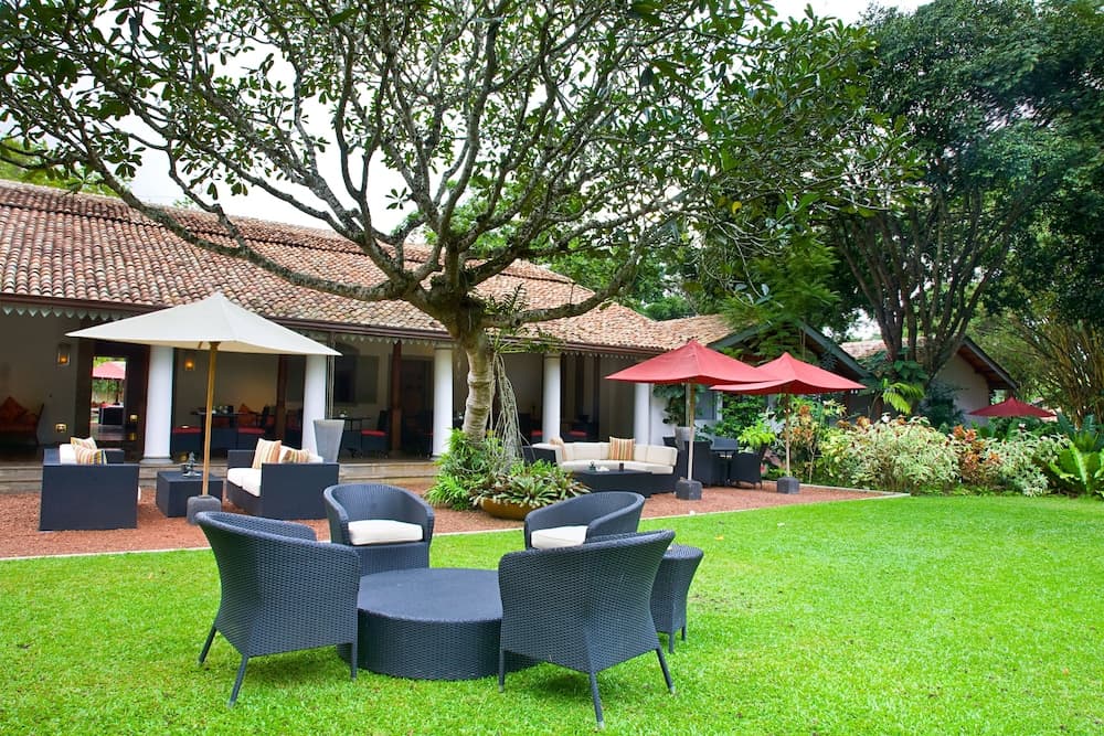 A serene tropical resort patio features lush greenery, comfortable seating under vibrant umbrellas, and a tranquil ambiance ideal for relaxation and leisure travel.