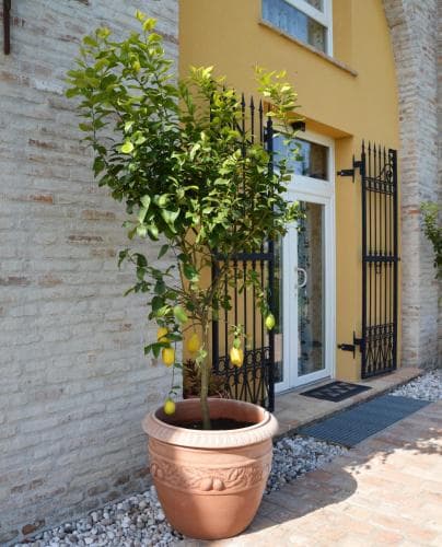 B&B Corte Spina