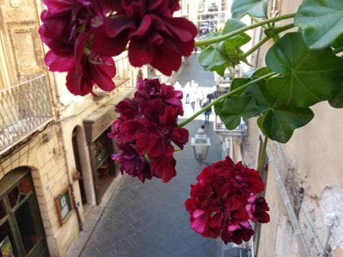 B&B Del Corso