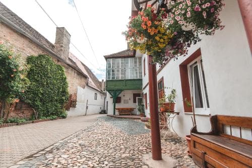 Guesthouse Casa Baciu