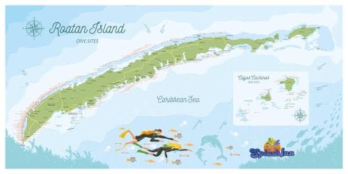 Splash Inn Dive Resort & Villas