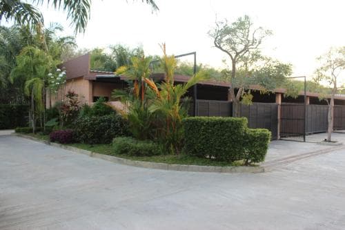 Palm Inn