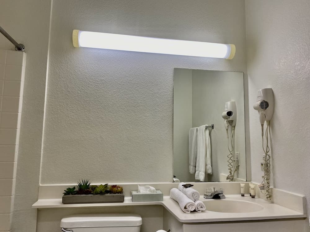 Siegel Select Flamingo
