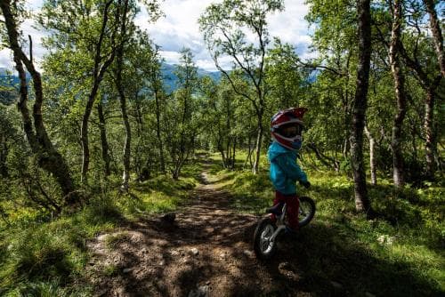 Oppdalsporten