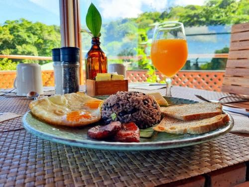 Ficus Sunset Suites