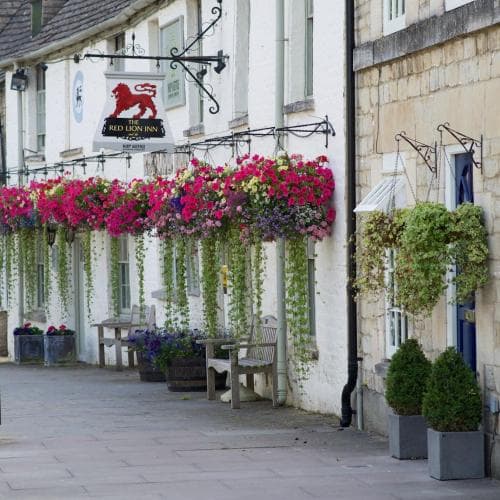 The Red Lion