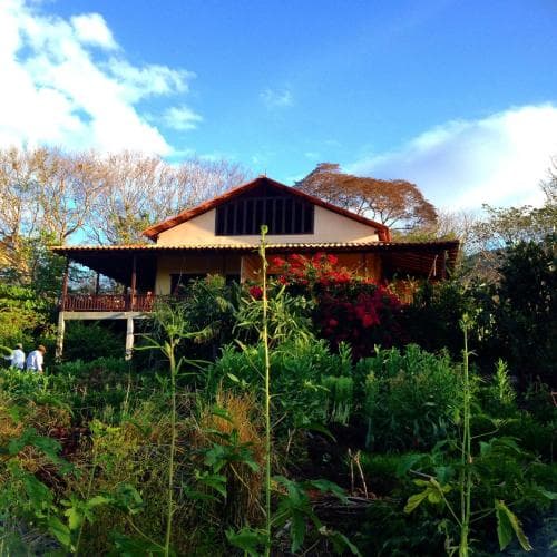 Casa Del Bosque