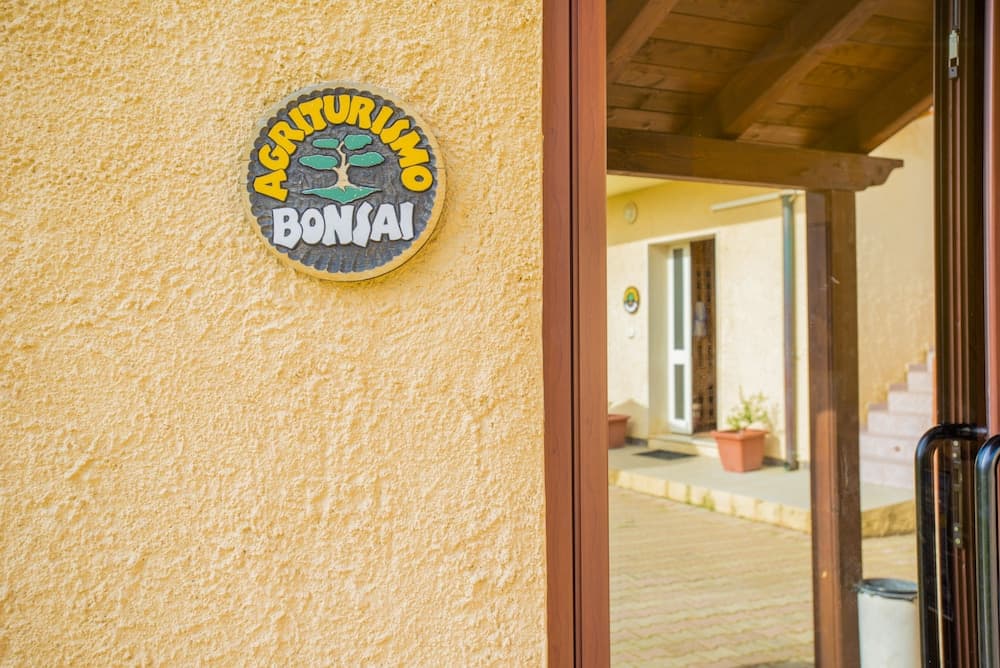 Bonsai Alghero