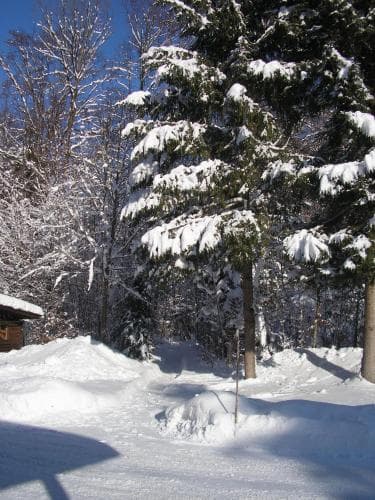Pension Kasbergblick