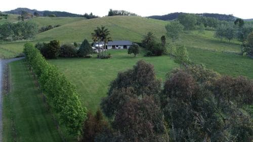 Rural Palms