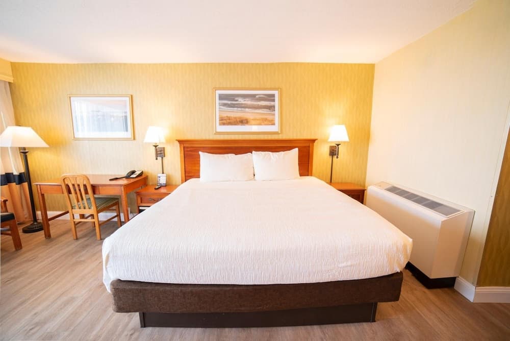 The Oceanfront Inn - Virginia Beach