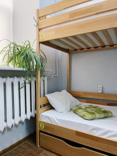 Hostel 51