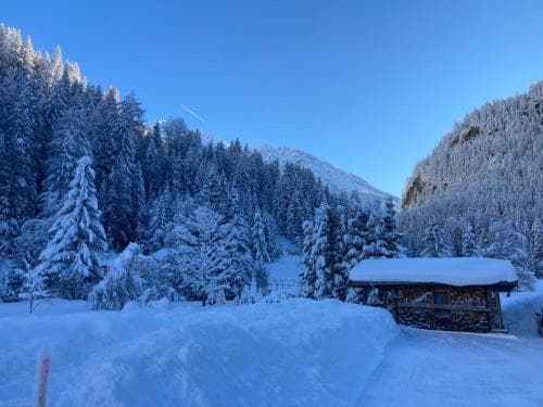A serene winter landscape features a snow-covered cabin nestled among frosty evergreens under a clear blue sky, ideal for a peaceful mountain retreat.