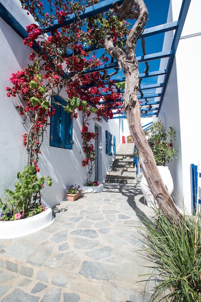 Hotel Spanelis
