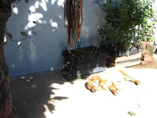 Casa Encuentro
