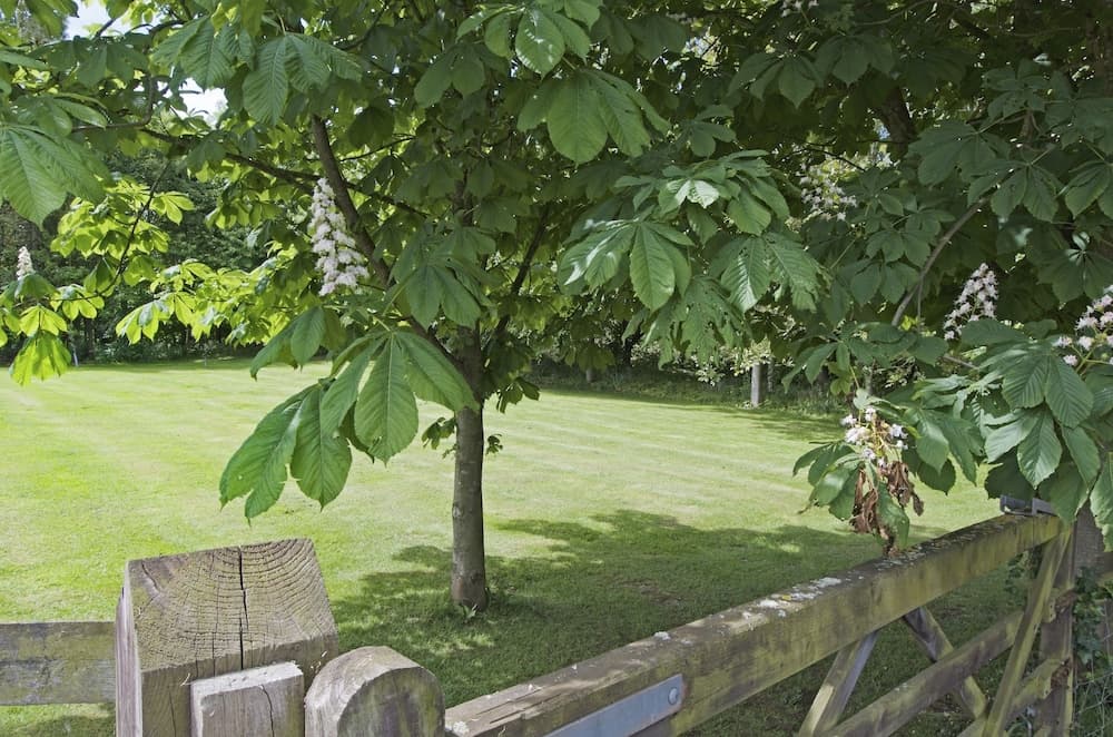 Marsh House Farm