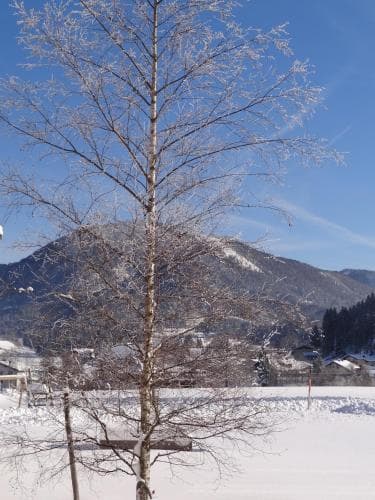 Waschlgut