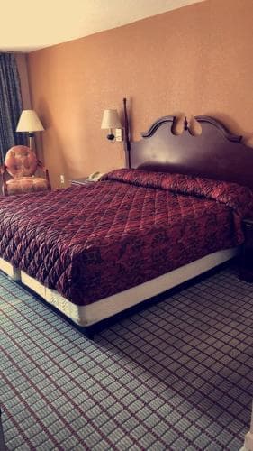 Budget Inn