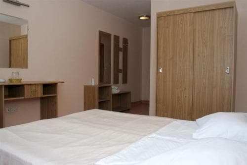 Pension Andronic