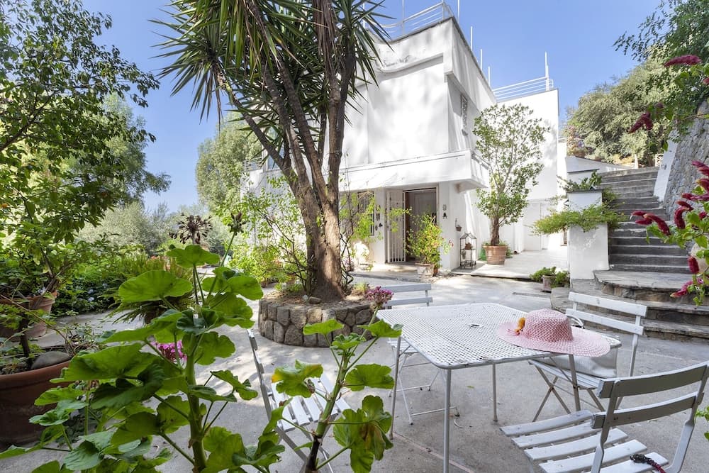 A serene courtyard garden with lush greenery, a white modern house, and a cozy seating area featuring a table with a pink hat, ideal for a tranquil vacation retreat.
