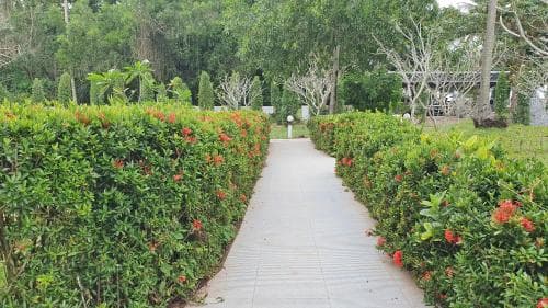 Uza Beach Resort