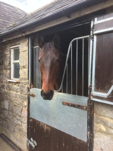Lime Trees Farm