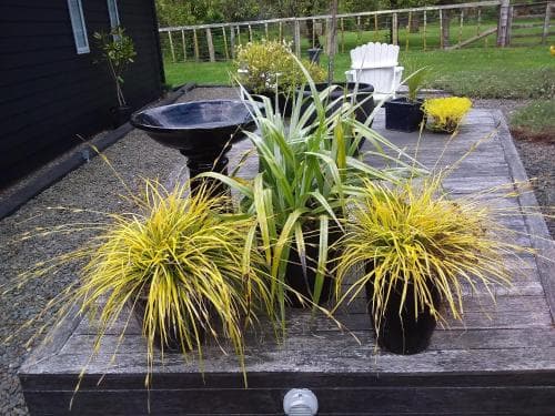 Karapiro Willows Luxury B & B